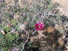 photo thumbnail #6