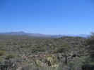 photo thumbnail #8