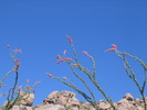 photo thumbnail #9