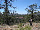 photo thumbnail #4