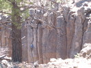 photo thumbnail #10