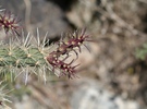 photo thumbnail #5
