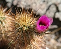 photo thumbnail #4