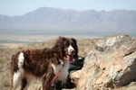 photo thumbnail #9