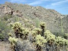 photo thumbnail #5