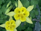 photo of comment
