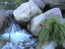 photo thumbnail #6