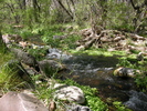 photo thumbnail #4