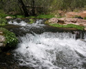 photo thumbnail #6
