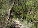 photo thumbnail #9
