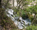 photo thumbnail #12