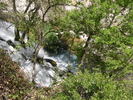 recent photo