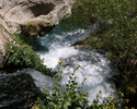 photo of comment