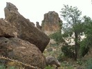 photo thumbnail #1