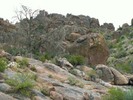 photo thumbnail #10