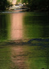photo of comment