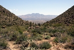 photo thumbnail #2