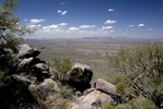 photo thumbnail #3