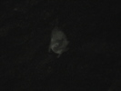 photo of comment