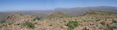 photo thumbnail #4