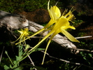 photo thumbnail #14