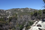 photo thumbnail #3