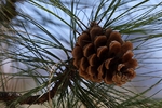 photo thumbnail #11