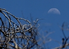 photo thumbnail #15
