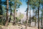 photo thumbnail #11