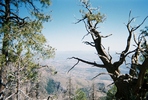 photo thumbnail #12