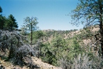 photo thumbnail #14