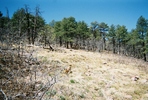 photo thumbnail #15
