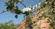 photo thumbnail #4