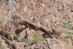 photo thumbnail #12