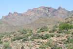 photo thumbnail #15