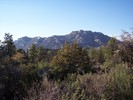 photo thumbnail #4