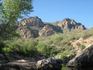 photo thumbnail #4