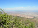 photo thumbnail #7