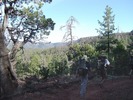 photo thumbnail #3