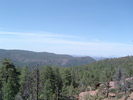 photo thumbnail #12