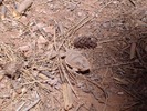 photo thumbnail #15