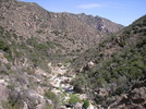 photo thumbnail #10