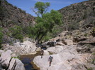 photo thumbnail #15