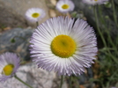 photo of comment