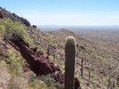 photo thumbnail #5