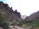 photo thumbnail #4