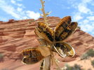photo thumbnail #2