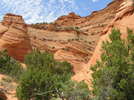 photo thumbnail #4