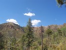 photo thumbnail #7