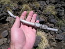 photo thumbnail #2